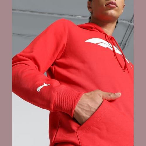F1 Puma